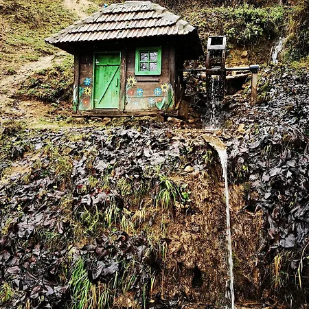 Apartman Temacki Amanet *